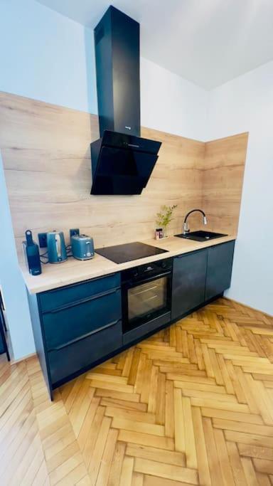Ii Centrum Apartment *